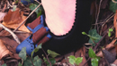 Beautiful handmade shoes. Made with love in Spain